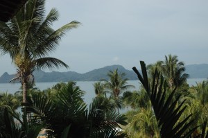 Poems that sway like a Malay palm