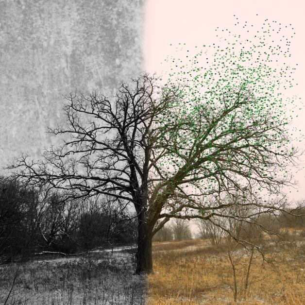 Julie Elfers Winter to Spring