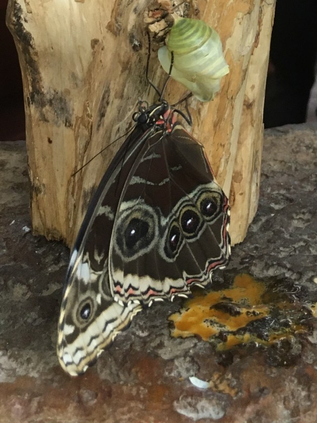 20200309_192924897_iOS (2)