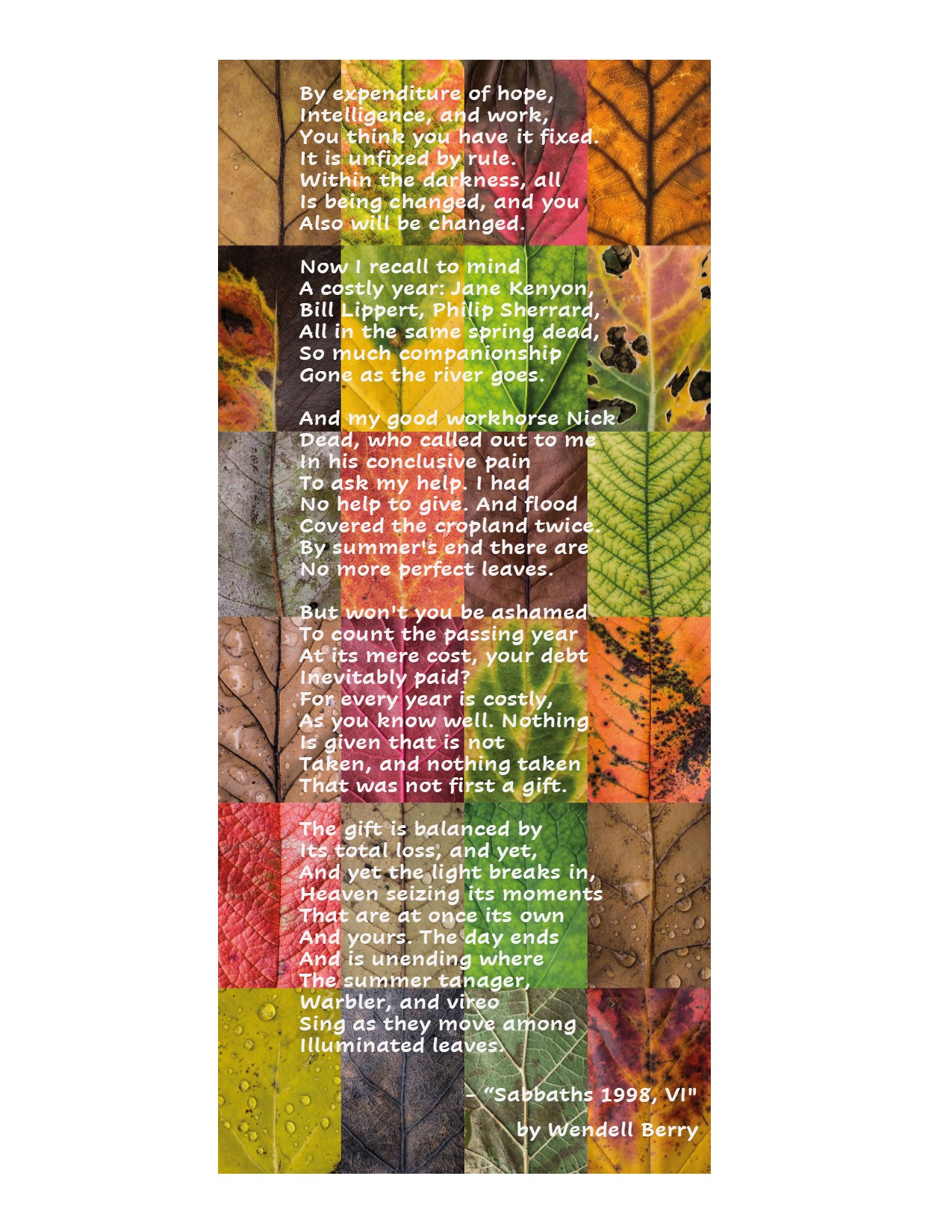 sabbaths 1998 vi sepia photos